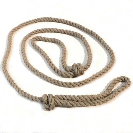 [SCOUT-FLUITKOORD-BR] Fluitkoord Bruin