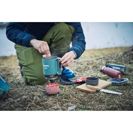 [P356031] Lite Plus Stove System Fern