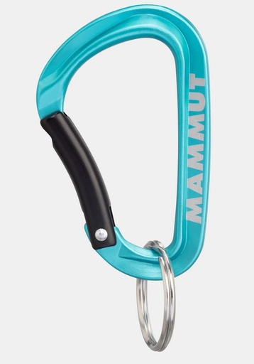 [2810-00300-5018] Mammut Mini Carabiner Classic Keylock S Blue