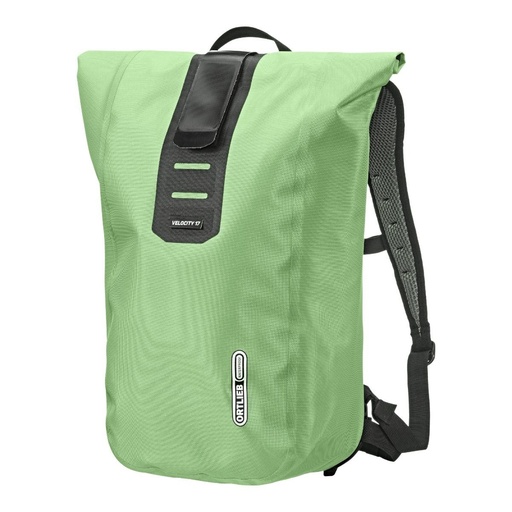 [OR430006] Velocity PS 17 l Pistachio