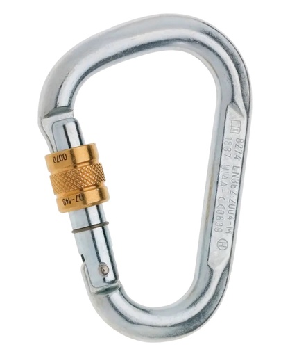 [882910000060] Steel HMS Screw  Silver