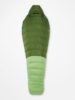 [M14402 21795 LZ] Hydrogen Foliage/Kiwi