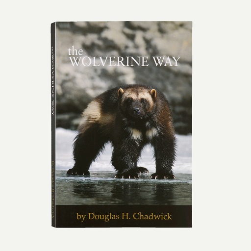 [BK212] The Wolverine Way