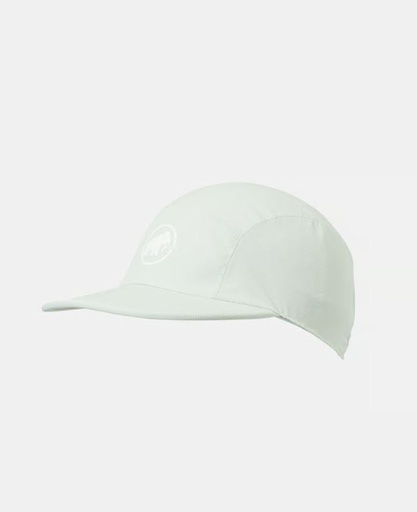 Aenergy Light Cap Silver/Sage