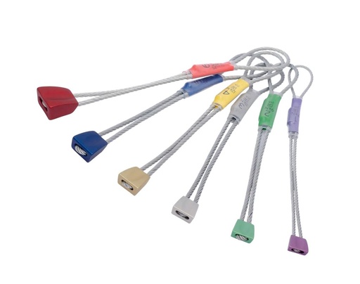[A1611/16AA] Wallnut Set 1-6 Assorted