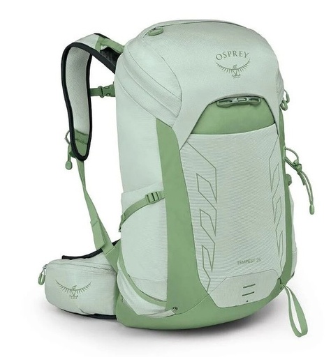 [10006807] Tempest 26 Frosty Mint Green Botanica