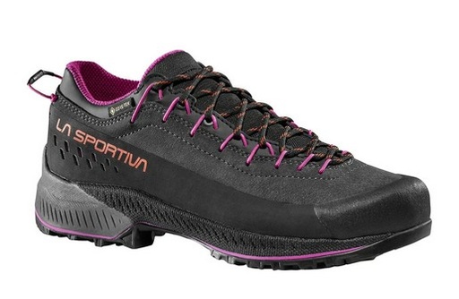 TX4 Evo GTX Dames Carbon/Springtime