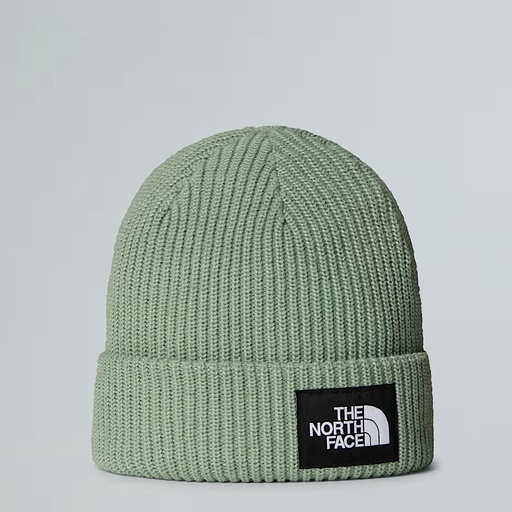 Salty Lined Beanie Slate Moss
