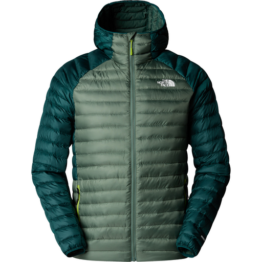 Men's Bettaforca LT Down Hoodie Duck Green/Deep Nori