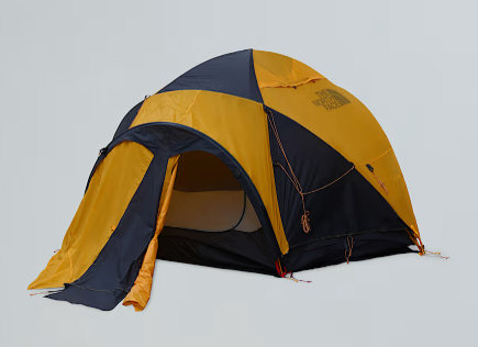 [NF0A8BDT C8T OS] VE 25 Summit Gold /Asphalt Grey