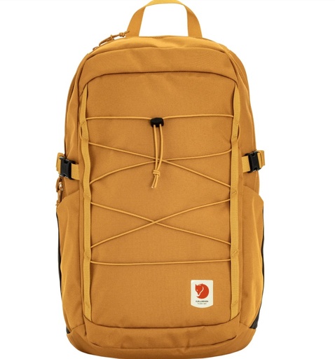 [F23200335 171] Skule 24 Red Gold