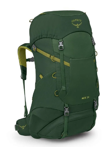 [10006508] Ace 38 Green Canopy