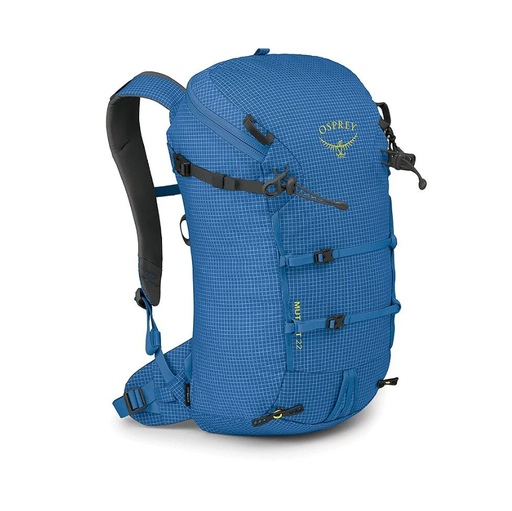 [10007024] Mutant 22 Blue Flame