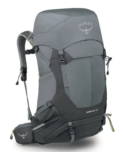 [10007524] Sirrus 36 Grey