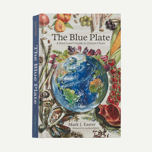 [BK910] The Blue Plate