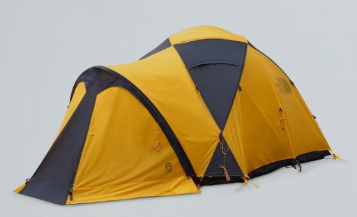 [NF0A8BD0 C8T OS] Bastion 4 Summit Gold /Asphalt Grey