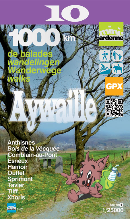 [ARDENNE.10] Aywaille mini-ardenne - 1/25