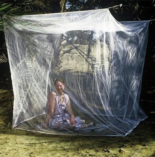 [015932] Standard Big Box