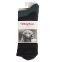 Socks Liner & Logo Socks 2-Pack Black/Forest