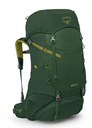 Ace 38 Green Canopy