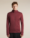 Men's Merino 260 Quantum IV LS Zip Hoodie Port/Agate