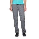 Women's Technician Alpine Pants Steel Grey